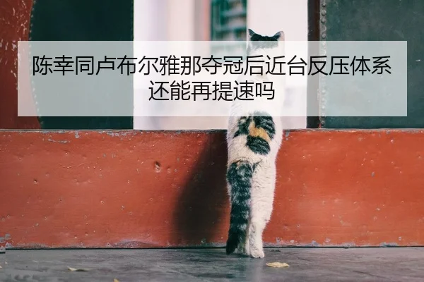 陈幸同卢布尔雅那夺冠后近台反压体系还能再提速吗